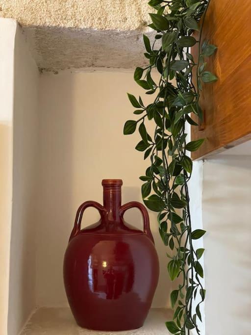 Il Pumo Rosso Villa โปลีญาโนอามาเร ภายนอก รูปภาพ